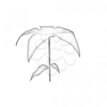 Flower icon on a white background