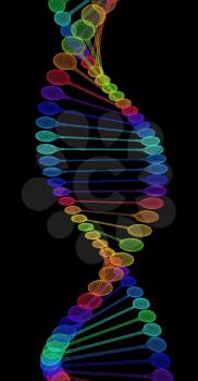 DNA structure model