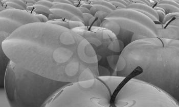 apples on a white background