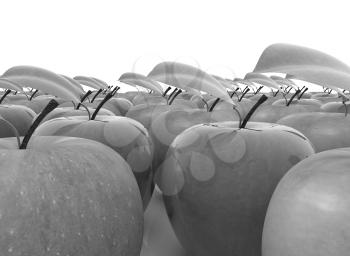 apples on a white background