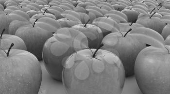 apples on a white background