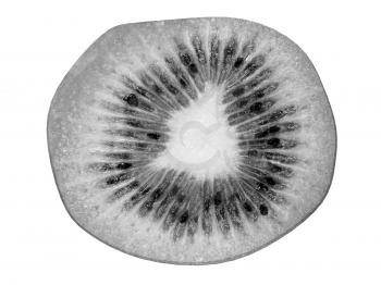 slices of kiwi on a white background