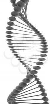 DNA structure model on a white background