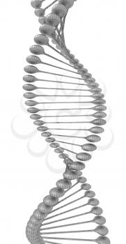 DNA structure model on a white background