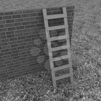 Ladder leans on brick wall on a green grass