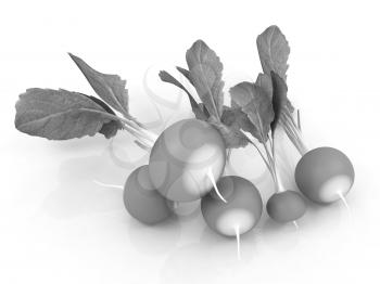 Small garden radish on a white background