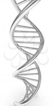 DNA structure model on white