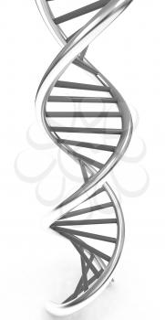 DNA structure model on white