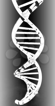 DNA structure model on a white background