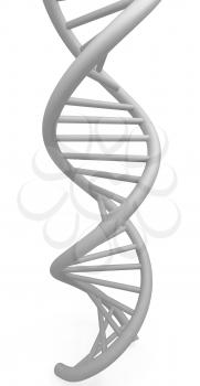 DNA structure model on white