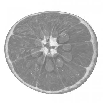 orange fruit on white background