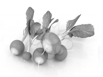 Small garden radish on a white background