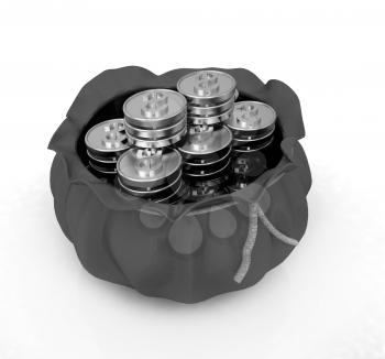 Bag and dollar coins on a white background