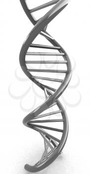 DNA structure model