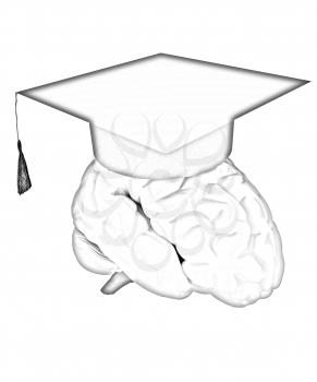 graduation hat on brain