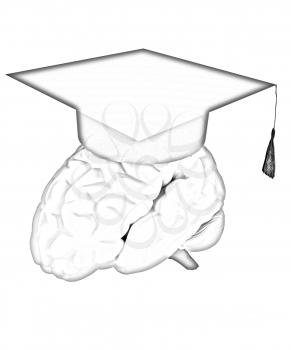 graduation hat on brain