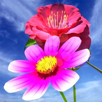 Beautiful Flower against the sky 