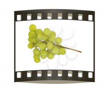 Grapes isolated on white background. The film strip