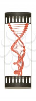 DNA structure model on a white background. The film strip