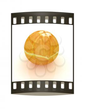 orange fruit on white background. The film strip