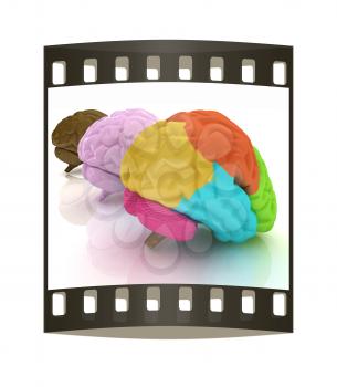 Human brains. The film strip