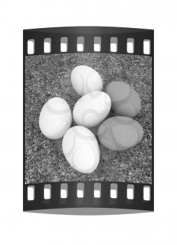 Eggs on the grass. The film strip