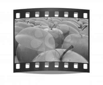 apples on a white background. The film strip