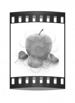 apple with leaf on a white background. The film strip