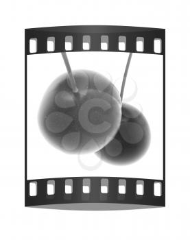 Sweet cherries on a white background. The film strip