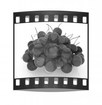 Sweet cherry on a white background. The film strip