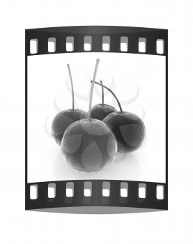 Sweet cherries on a white background. The film strip