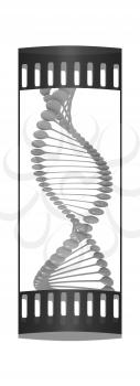 DNA structure model on a white background. The film strip