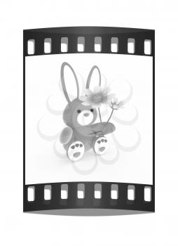 soft toy hare with a little red hearts on white paws and cosmos flower on a white background. The film strip