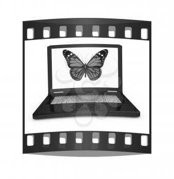 butterfly on a notebook on a white background. The film strip