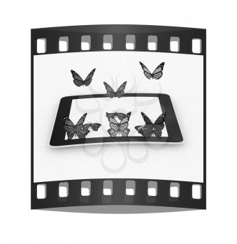 butterflies on a phone on a white background. The film strip