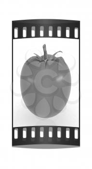 tomato on a white background. The film strip