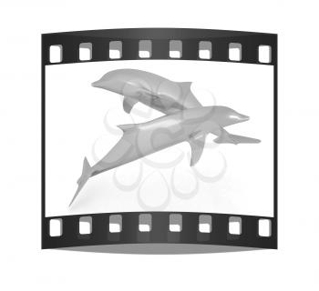 golden dolphin on a white background. The film strip