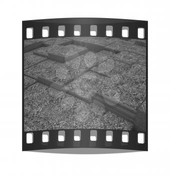 Terraces of grass. The film strip