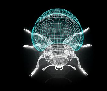 beetle