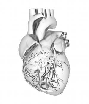 Human heart