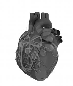 Human heart