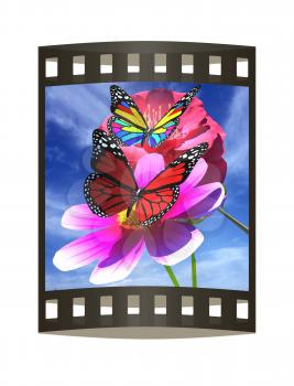 Beautiful Flower and butterfly against the sky 