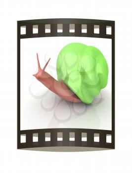 3d fantasy animal, snail on white background 