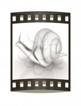 3d fantasy animal, snail on white background 