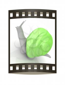 3d fantasy animal, snail on white background 