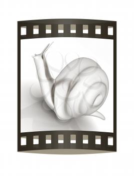 3d fantasy animal, snail on white background 