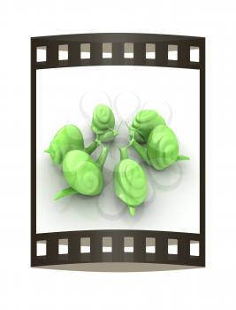 3d fantasy animals, snails on white background 