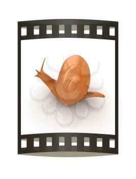 3d fantasy animal, snail on white background 