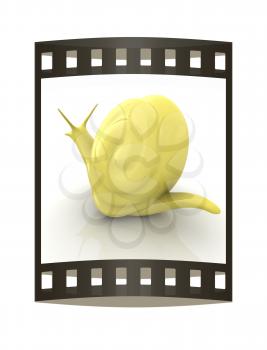 3d fantasy animal, snail on white background 