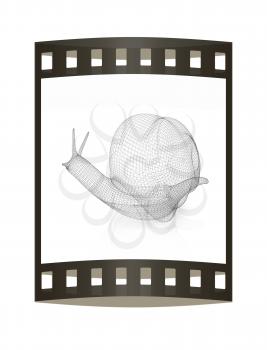 3d fantasy animal, snail on white background 